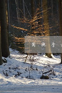 国税季报逾期6 国税季报逾期6