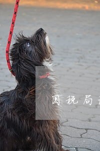 国税局设立法律顾问办公室