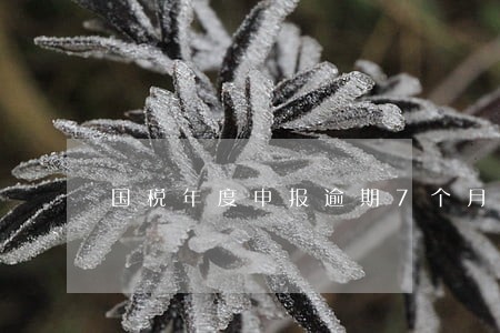 国税年度申报逾期7个月