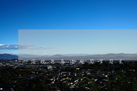 国税总局法规司罗司长 国税总局法规司罗司长