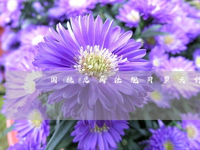 国税总局法规司罗天舒 国税总局法规司罗天舒