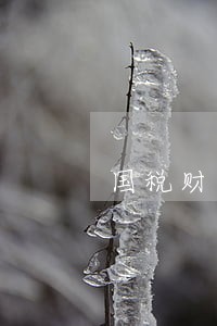 国税财务报表逾期申报6 国税财务报表逾期申报6