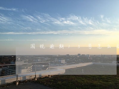 国税逾期15号怎么处理 国税逾期15号怎么处理