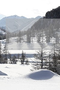 国税逾期15天没交罚款 国税逾期15天没交罚款