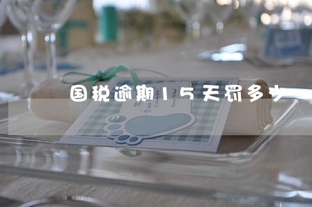 国税逾期15天罚多少 国税逾期15天罚多少