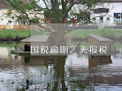 国税逾期2天报税