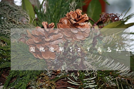 国税逾期了29天怎么办 国税逾期了29天怎么办