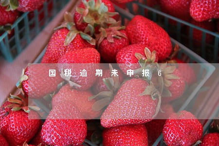 国税逾期未申报6 国税逾期未申报6