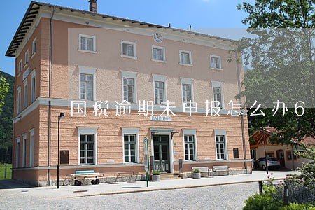 国税逾期未申报怎么办6 国税逾期未申报怎么办6
