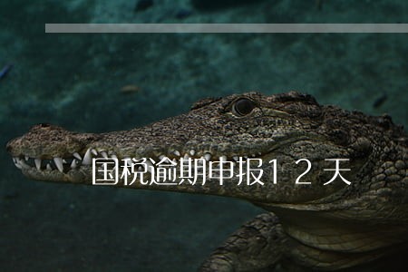 国税逾期申报12天 国税逾期申报12天