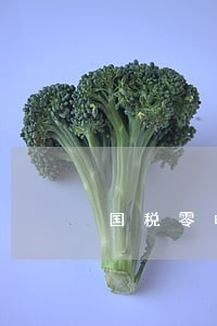 国税零申报3次逾期罚款 国税零申报3次逾期罚款
