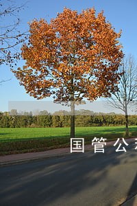 国管公积金逾期1天 国管公积金逾期1天