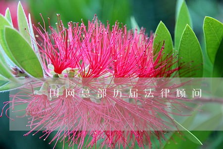 国网总部历届法律顾问