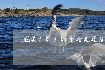 国美9000元逾期还清 国美9000元逾期还清