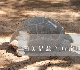 国美借款2万逾期变百万欠款 国美借款2万逾期变百万欠款