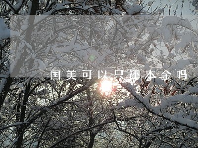国美可以只还本金吗 国美可以只还本金吗