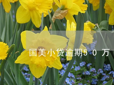 国美小贷逾期50万