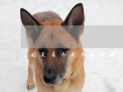 国美易卡买手机逾期70天 国美易卡买手机逾期70天