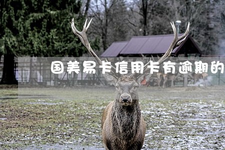 国美易卡信用卡有逾期的能贷吗