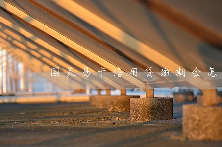 国美易卡信用贷逾期会怎么样 国美易卡信用贷逾期会怎么样
