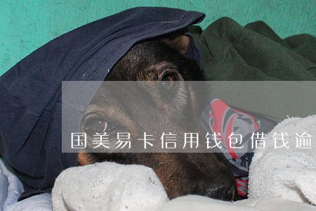 国美易卡信用钱包借钱逾期怎么办