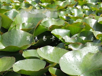 国美易卡欠款3900逾期了 国美易卡欠款3900逾期了