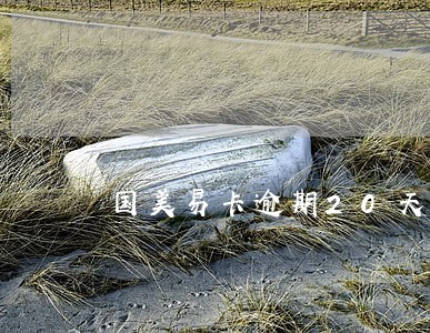 国美易卡逾期20天会怎样 国美易卡逾期20天会怎样