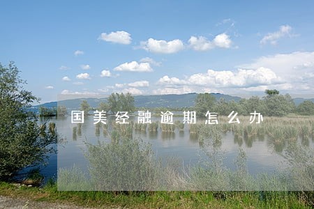 国美经融逾期怎么办 国美经融逾期怎么办