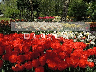 国美网贷逾期半年了 国美网贷逾期半年了