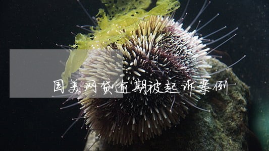 国美网贷逾期被起诉案例 国美网贷逾期被起诉案例