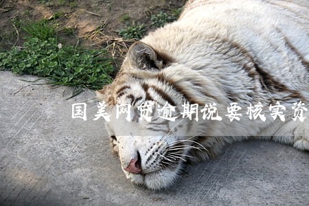 国美网贷逾期说要核实资产