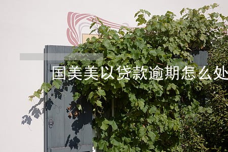 国美美以贷款逾期怎么处理 国美美以贷款逾期怎么处理