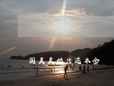 国美美借只还本金