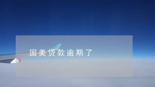 国美贷款逾期了 国美贷款逾期了