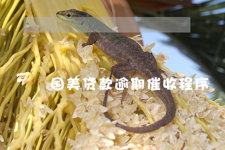 国美贷款逾期催收程序 国美贷款逾期催收程序