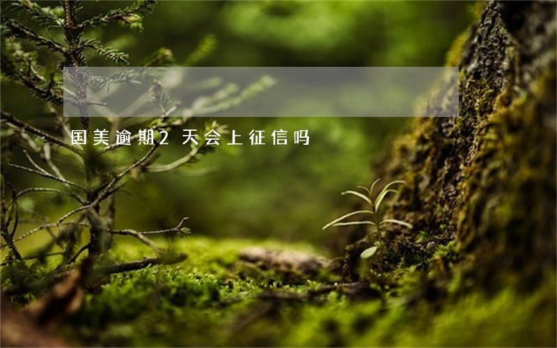 国美逾期2天会上征信吗 国美逾期2天会上征信吗