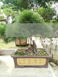 国美逾期贷款 国美逾期贷款