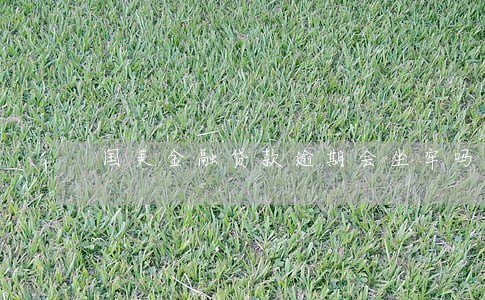 国美金融贷款逾期会坐牢吗 国美金融贷款逾期会坐牢吗