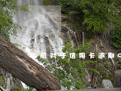 国航对于信用卡逾期90天