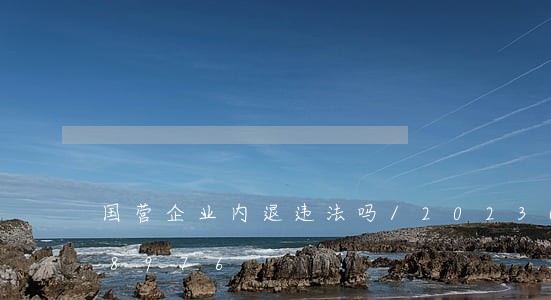 国营企业内退违法吗/2023012588976 国营企业内退违法吗/2023012588976