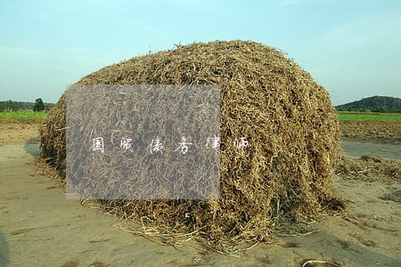 国贸债务律师 国贸债务律师