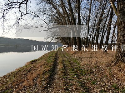 国贸知名股东维权律师 国贸知名股东维权律师