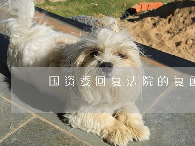 国资委回复法院的复函 国资委回复法院的复函
