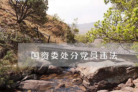 国资委处分党员违法 国资委处分党员违法