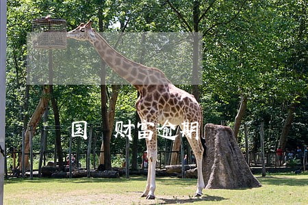 国赟财富逾期