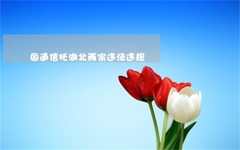 国通信托湖北两宗违法违规 国通信托湖北两宗违法违规