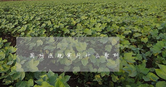 国防法规实行什么原则 国防法规实行什么原则