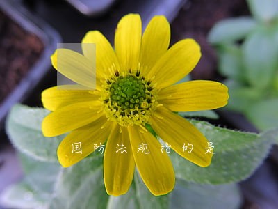 国防法规指的是 国防法规指的是