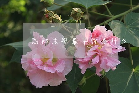 国防法规最早称为什么 国防法规最早称为什么