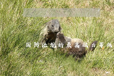 国防法规的最高效力等级 国防法规的最高效力等级